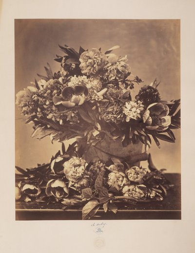 Still Life with Peonies by Charles Aubry